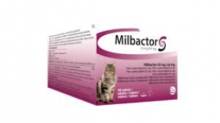 Milbactor kat 4 tabletten